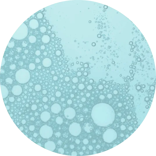 Urine Protein Test Strips Diagnox